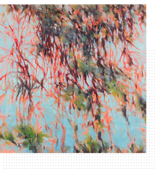 What We Do __View ACNMWA programs__