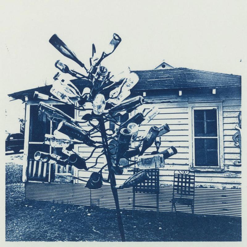Bottle-Tree-at-the-Shack-Up-Inn