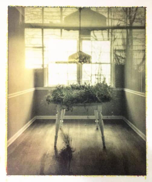 An-Uneasy-Domesticity