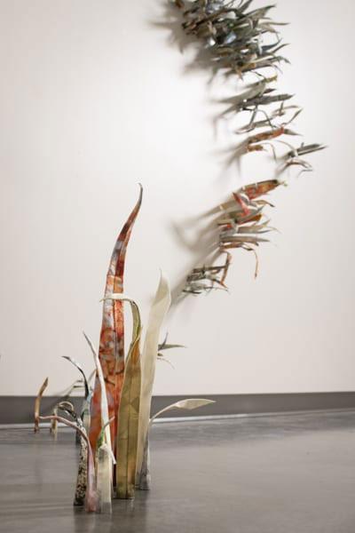 Imperata-Grassland-detail-1