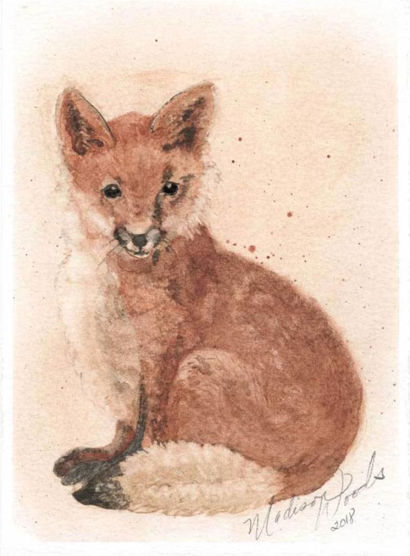 Fox-No-1