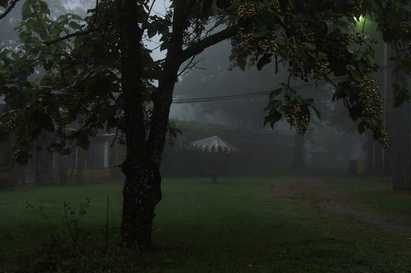 Afternoon-Fog-Mount-Gaylor