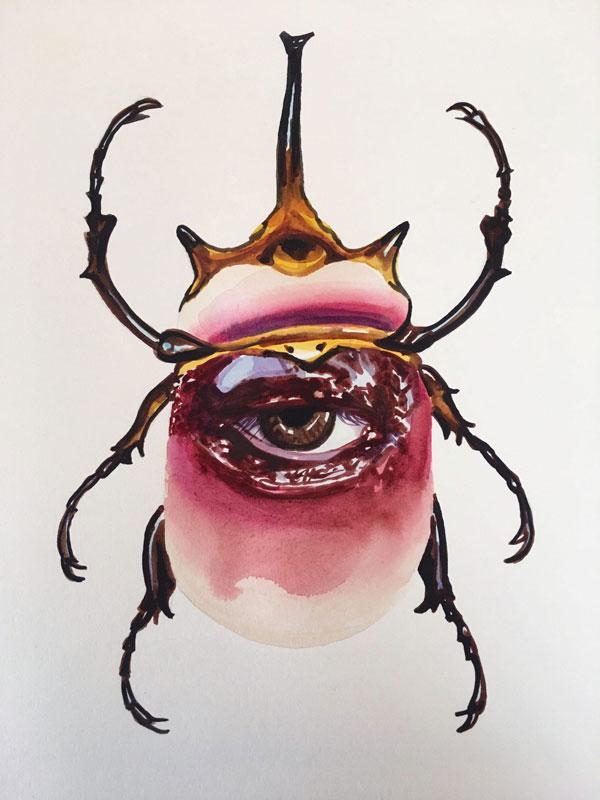 Seeing-Beetle-part-of-series